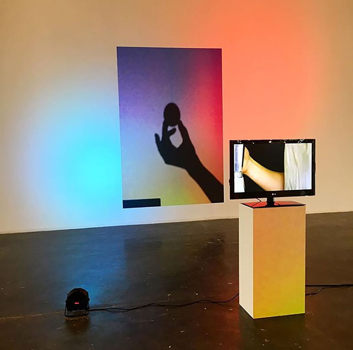 Victoria Fu - Harpo Foundation